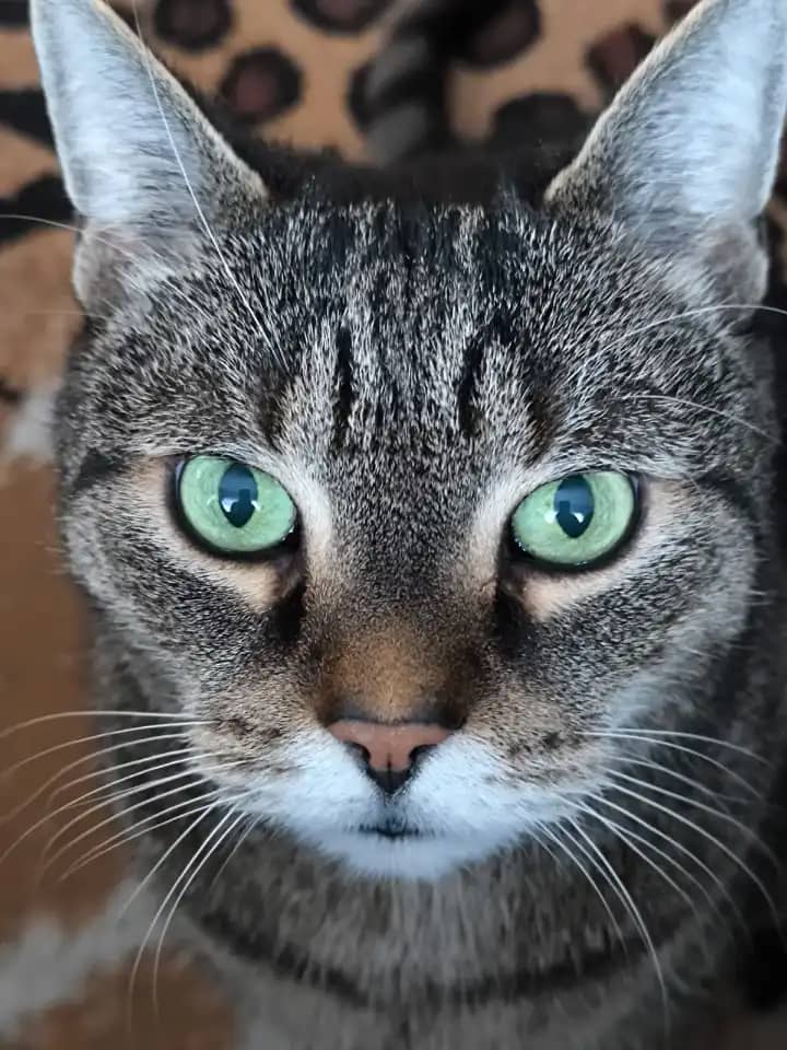 Ben